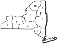 NYS Sections Map